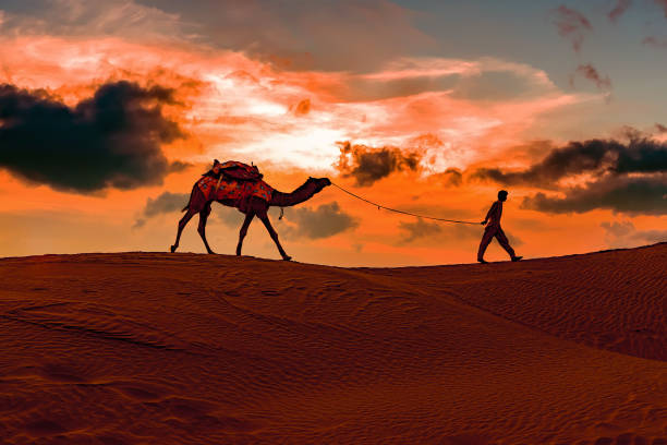 7 Days Tour from Casablanca to Sahara Desert