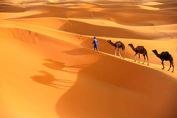 3 days desert tours from marrakech