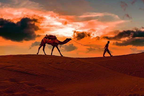 Sahara Desert Camel Trekking