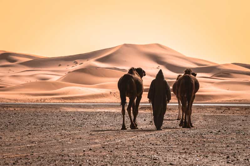 3-Day Desert Tour from Marrakech to Fes